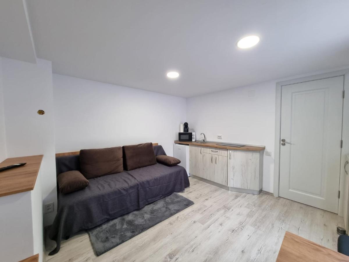 Casa Thor Apartment Sinaia