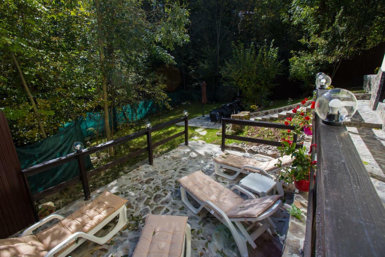 Apartment Casa Thor Sinaia