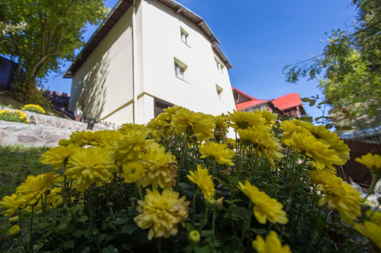 Apartment Casa Thor Sinaia