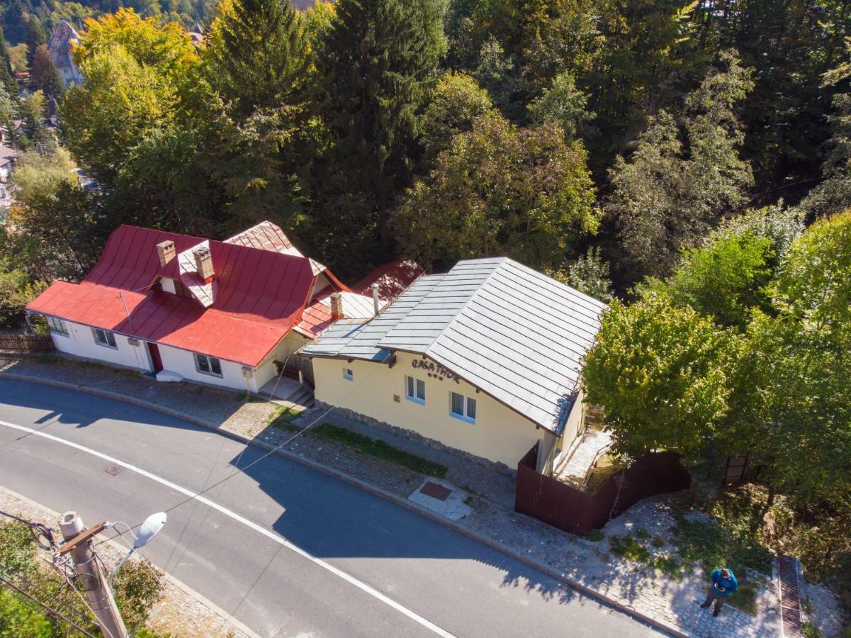 Casa Thor 公寓 Sinaia